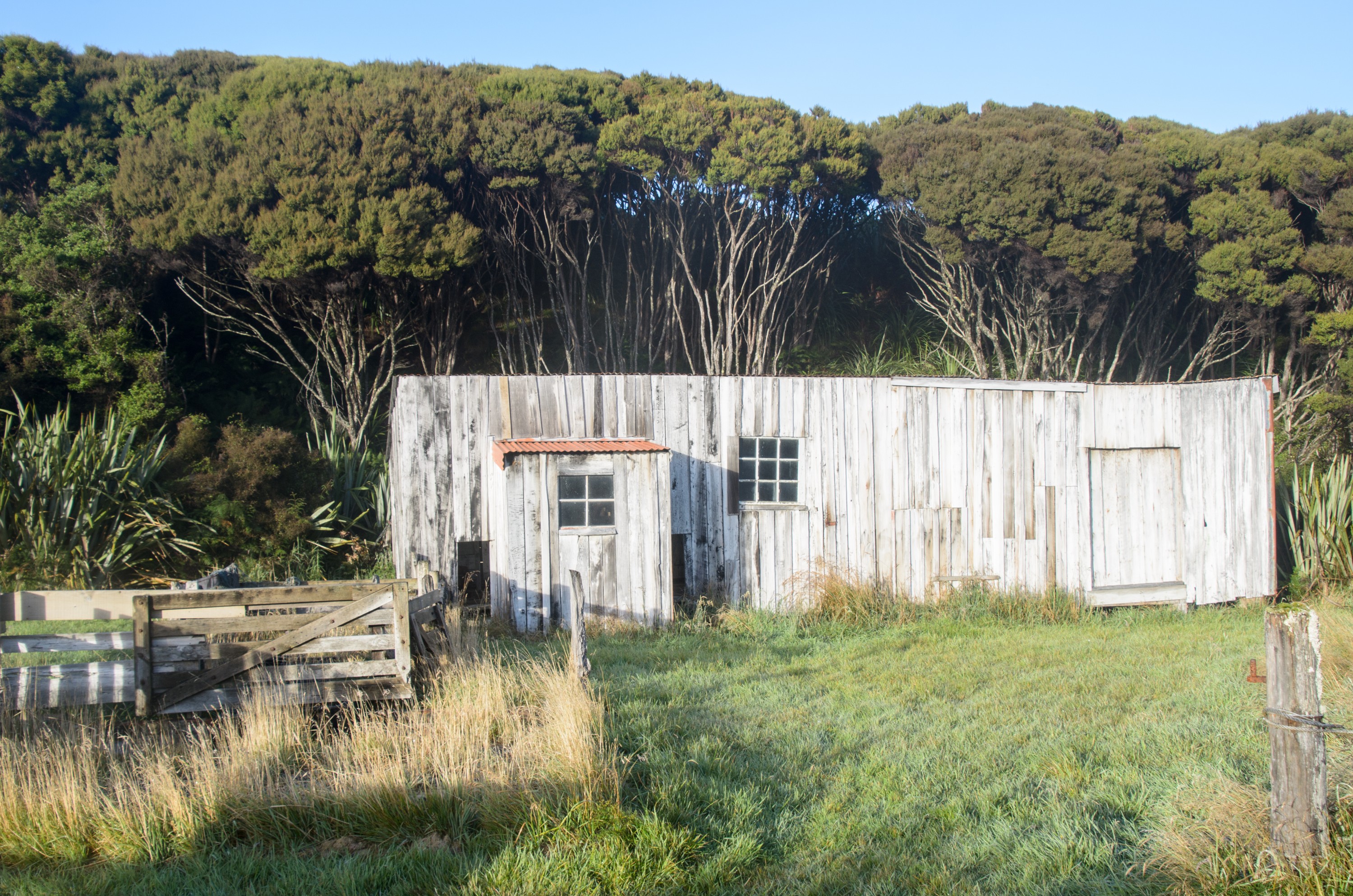 DSC_2116 – Adventure, Bay, Crispin, Island, March 2017, Mason, Mason Bay, National Park, New, New Zealand, Rakiura, South, Stewart, Zealand